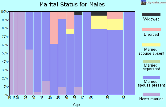 Zip code 21028 marital status for males