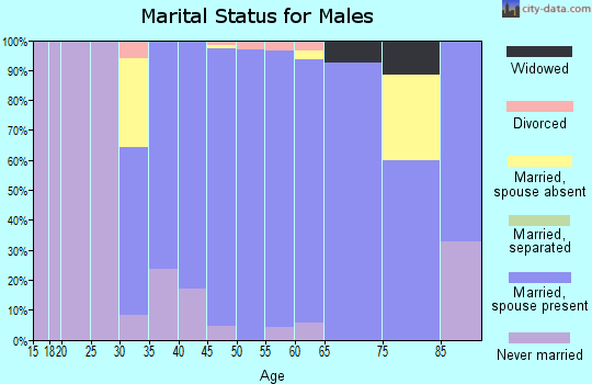 Zip code 21029 marital status for males