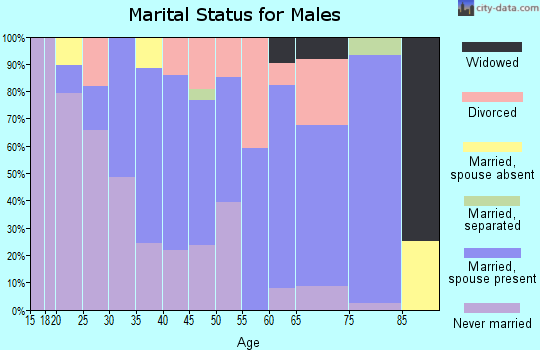 Zip code 21034 marital status for males