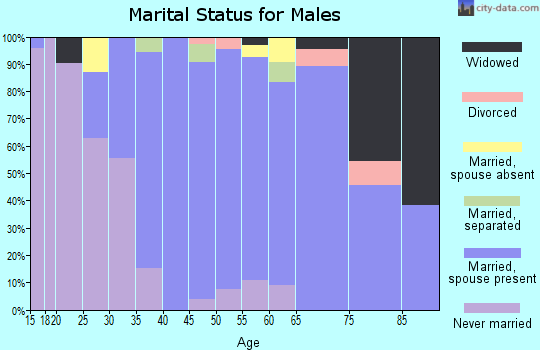 Zip code 21035 marital status for males