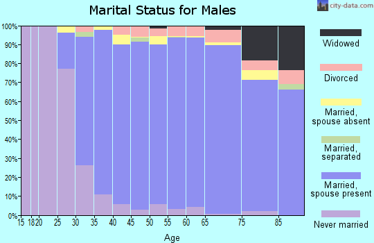Zip code 21042 marital status for males