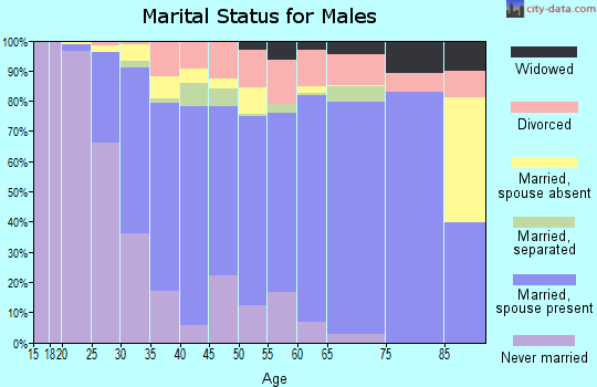 Zip code 21045 marital status for males