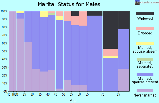 Zip code 21076 marital status for males