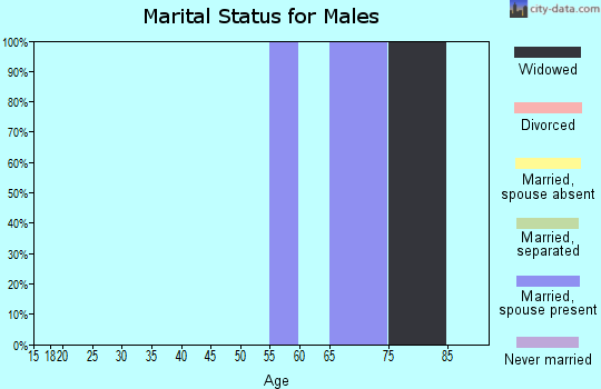 Zip code 21077 marital status for males