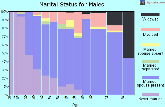 Zip code 21113 marital status for males