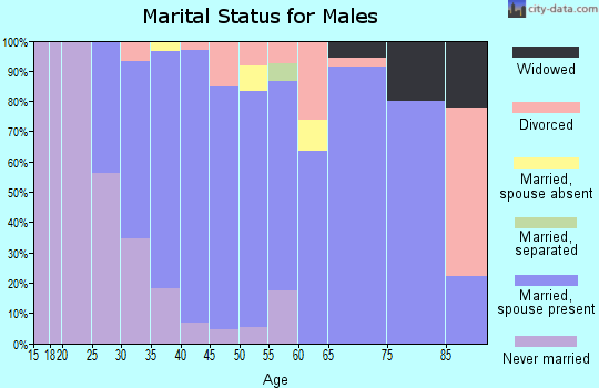 Zip code 21128 marital status for males