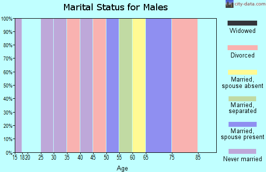 Zip code 21130 marital status for males