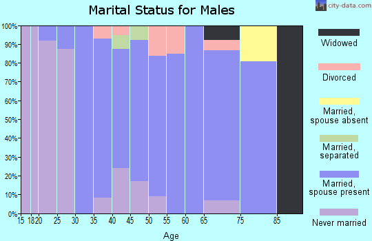 Zip code 21140 marital status for males
