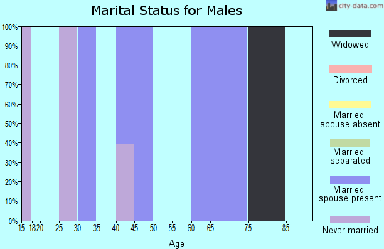 Zip code 21156 marital status for males