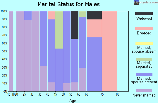 Zip code 21160 marital status for males