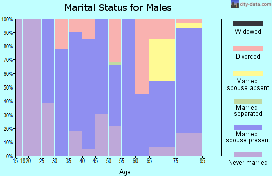 Zip code 21162 marital status for males