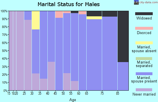 Zip code 21163 marital status for males