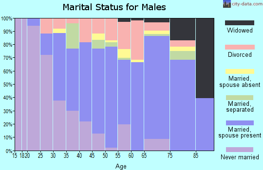 Zip code 21219 marital status for males