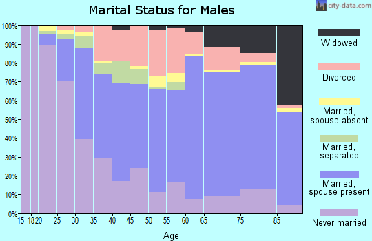 Zip code 21221 marital status for males