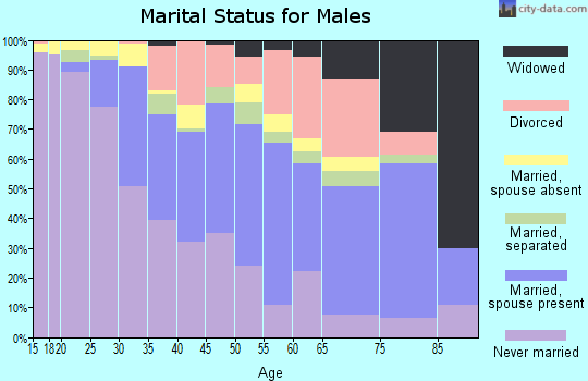 Zip code 21225 marital status for males