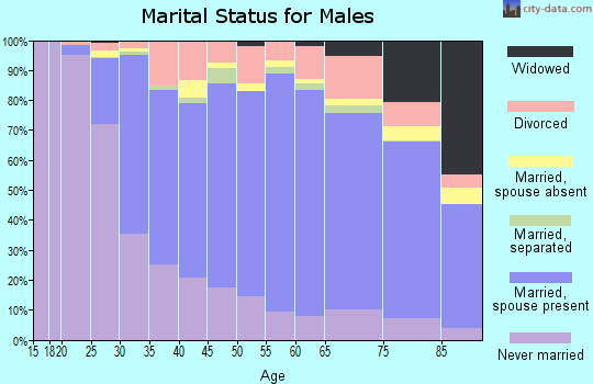 Zip code 21228 marital status for males