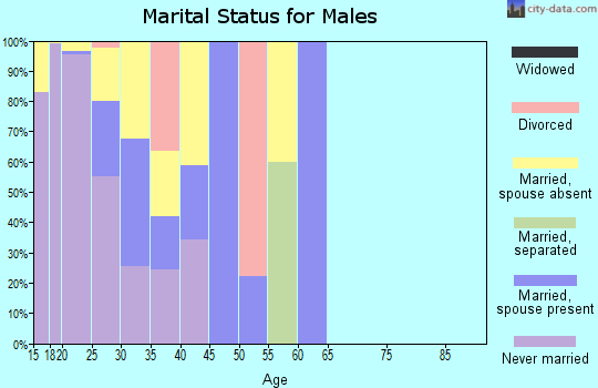 Zip code 21402 marital status for males