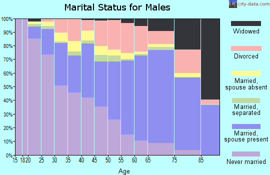 Zip code 21502 marital status for males