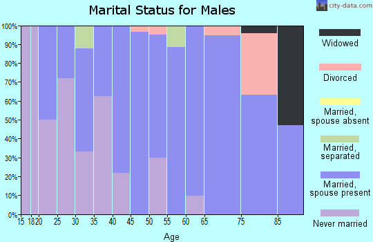 Zip code 21520 marital status for males