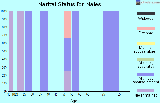 Zip code 21523 marital status for males