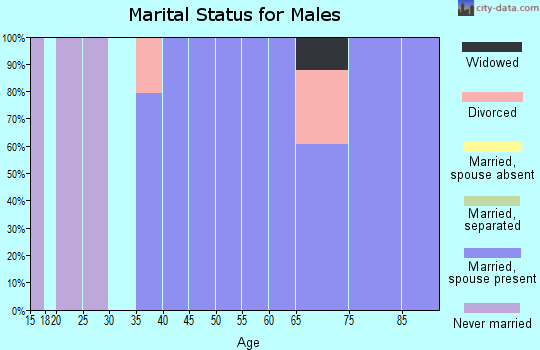 Zip code 21524 marital status for males
