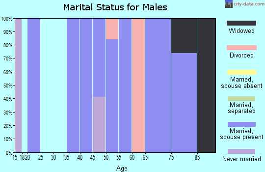 Zip code 21529 marital status for males