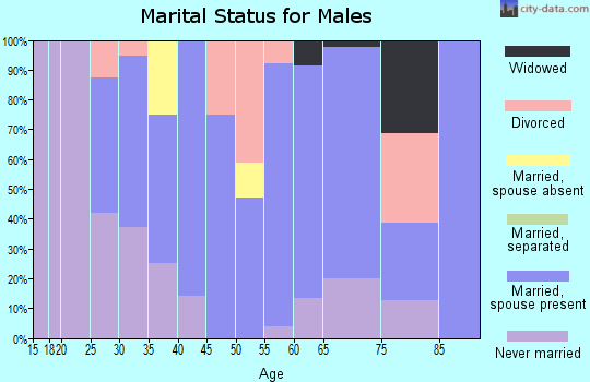 Zip code 21531 marital status for males
