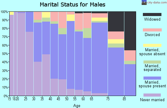 Zip code 21532 marital status for males