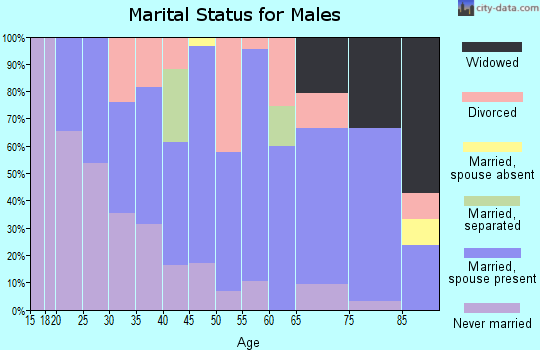 Zip code 21539 marital status for males