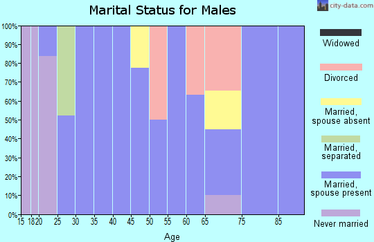 Zip code 21541 marital status for males