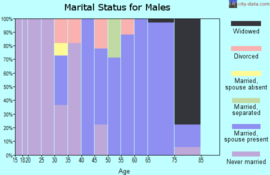Zip code 21542 marital status for males