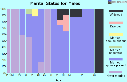Zip code 21555 marital status for males