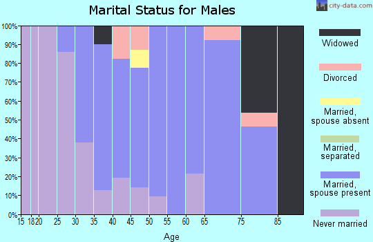 Zip code 21625 marital status for males