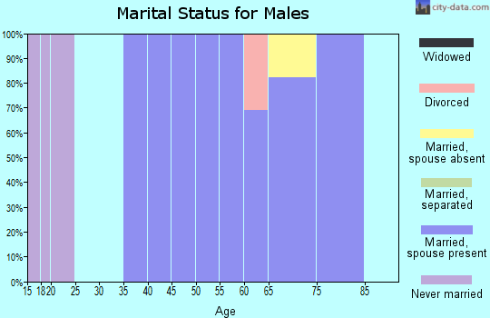 Zip code 21677 marital status for males