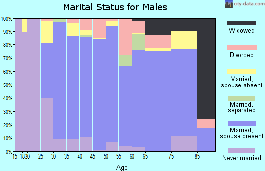 Zip code 21704 marital status for males