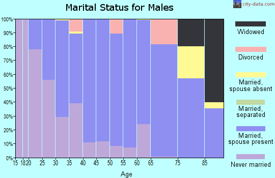 Zip code 21710 marital status for males