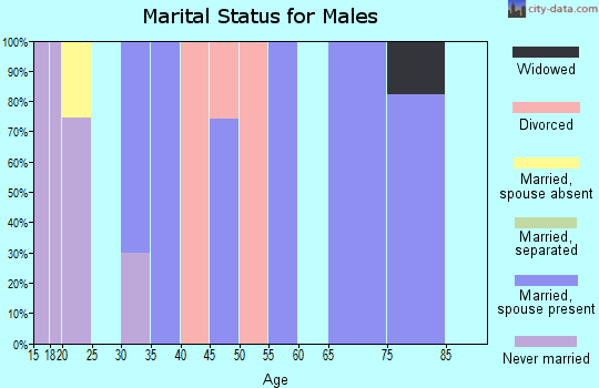Zip code 21711 marital status for males