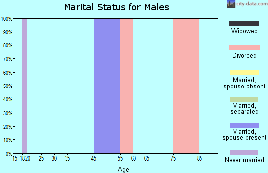 Zip code 21717 marital status for males