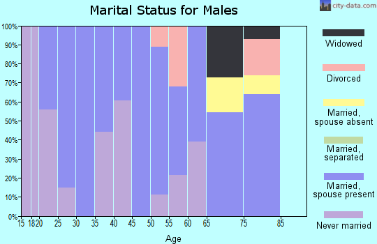 Zip code 21719 marital status for males