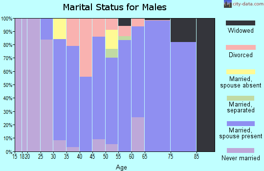 Zip code 21722 marital status for males