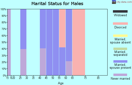 Zip code 21723 marital status for males