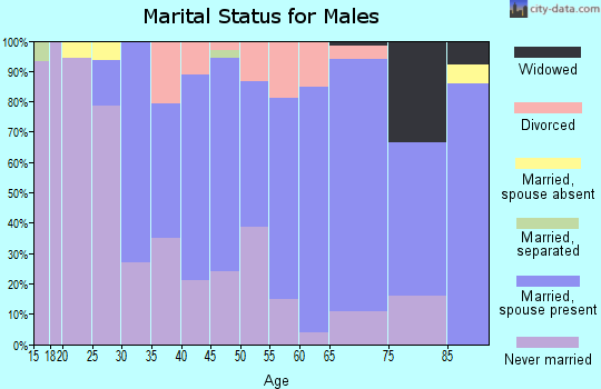 Zip code 21727 marital status for males