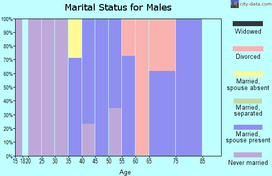 Zip code 21733 marital status for males