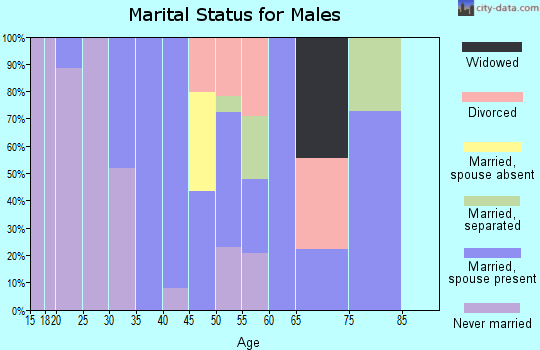 Zip code 21734 marital status for males