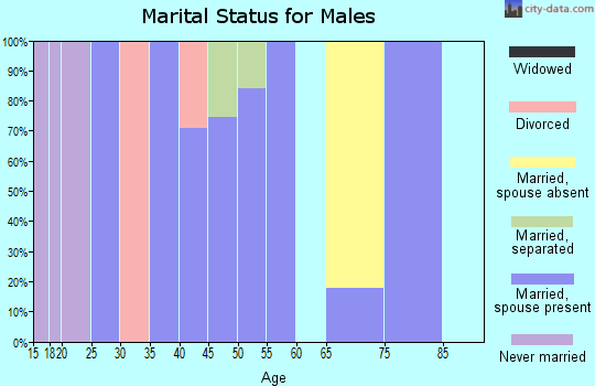 Zip code 21737 marital status for males