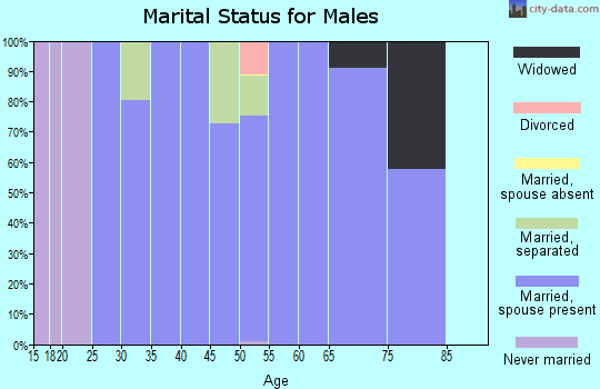 Zip code 21738 marital status for males