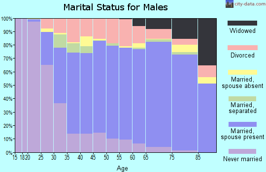 Zip code 21742 marital status for males