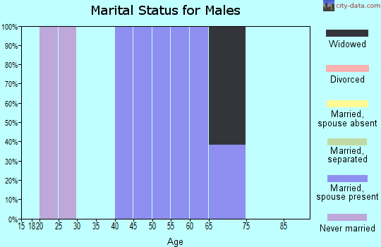 Zip code 21767 marital status for males