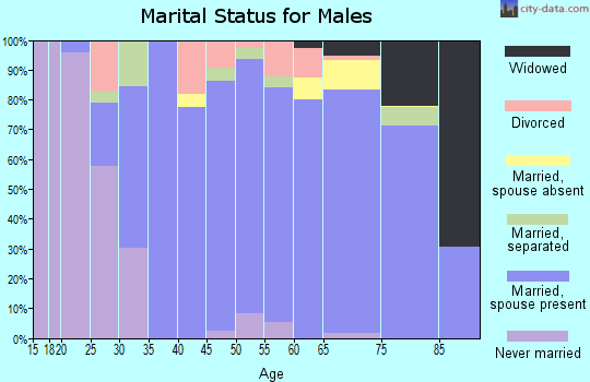Zip code 21787 marital status for males
