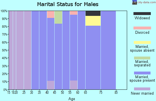 Zip code 21794 marital status for males